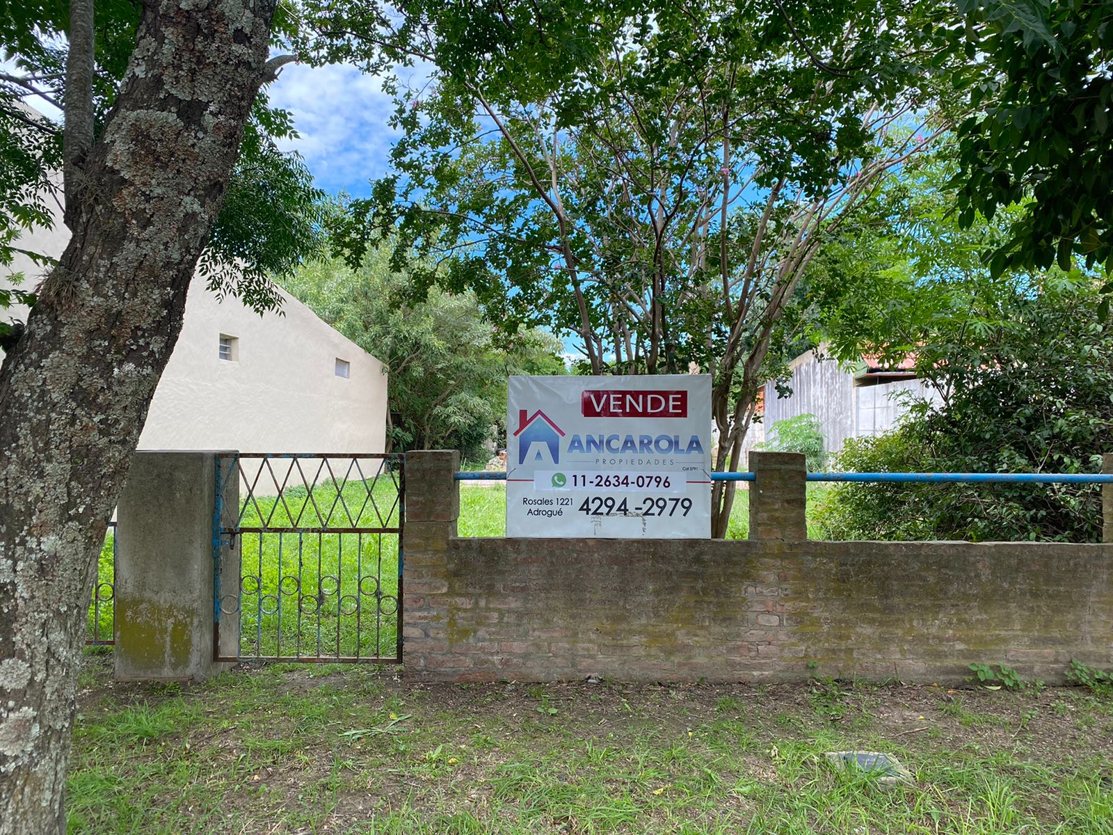 WhatsApp Image 2022-01-30 at 17.28.25